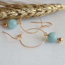 Load image into Gallery viewer, Large Hoop Earrings