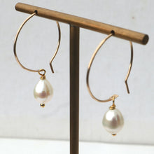 Load image into Gallery viewer, Gold filled hoop earrings with freshwater pearls 