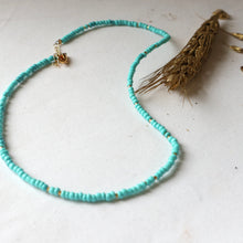 Load image into Gallery viewer, Turquoise Seed Bead Necklace