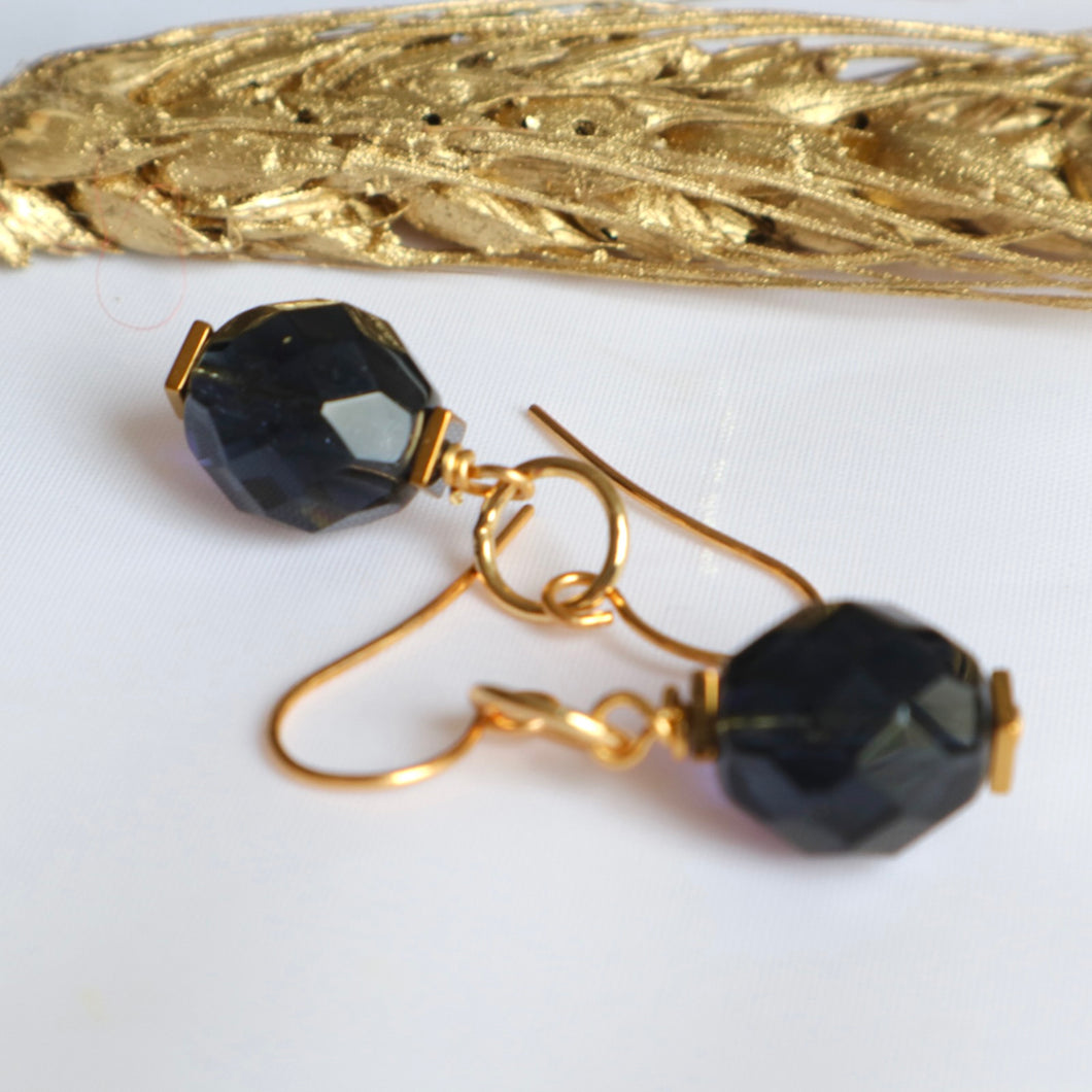 Navy Crystal Earrings